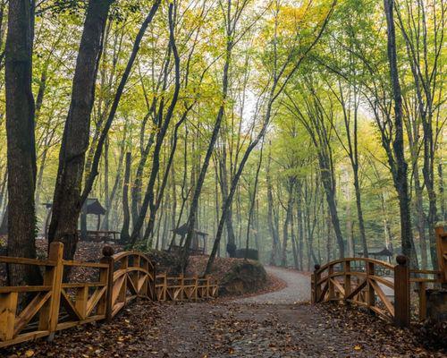 İstanbul'a Yakın Orman Evleri